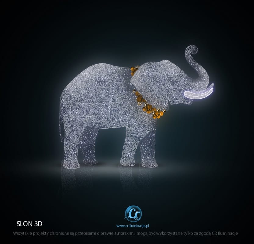 Slon 011/2020