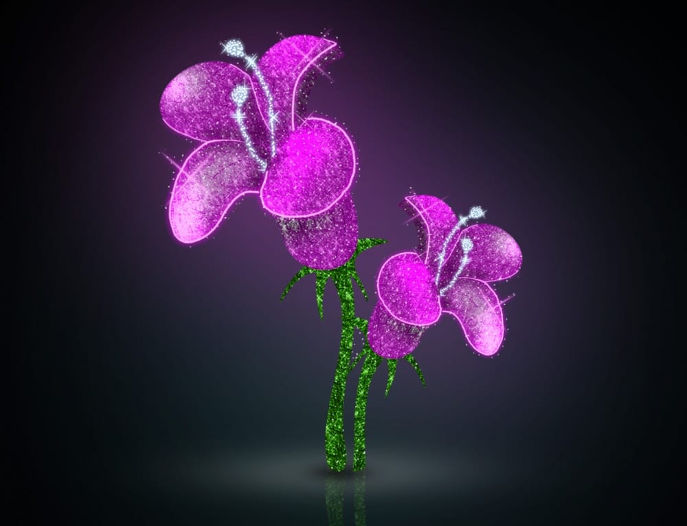 Kwiat 002/2020