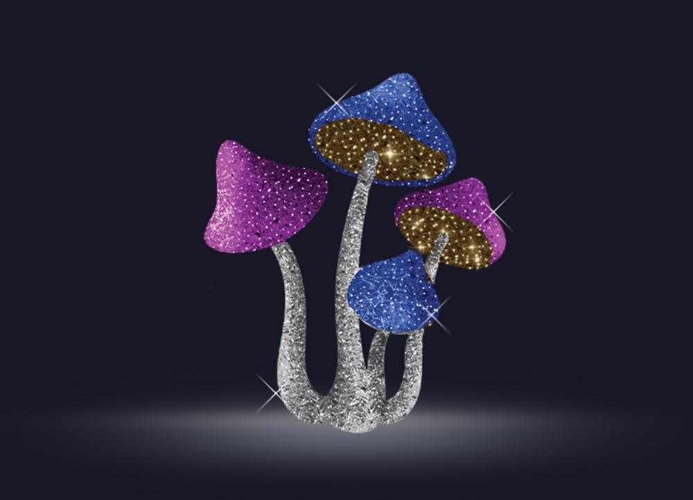 Champignons 71/2022